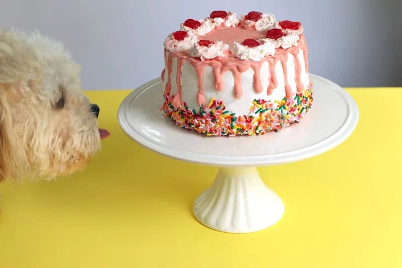 Ron's Gourmet Ice Cream Dedham - Image 4